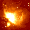 Image of Orion
