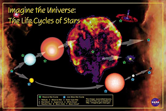Image of Life Cycles of Stars Poster