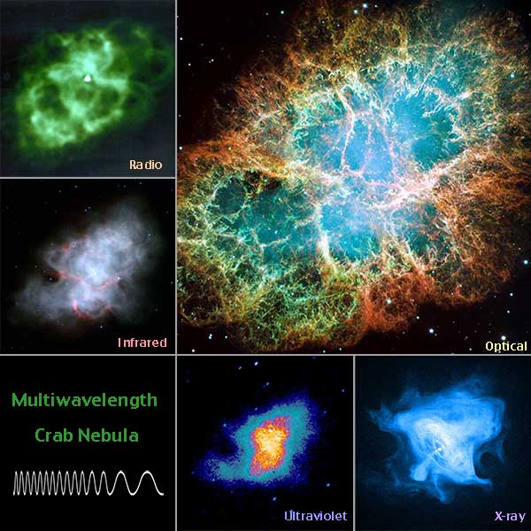 The Crab Nebula in optical, radio, infrared, ultraviolet, and X-ray wavelengths