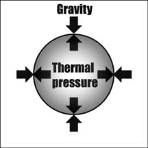 Diagram showing the gravity and thermal pressure on a star.