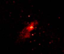 Chandra image of NGC 253
