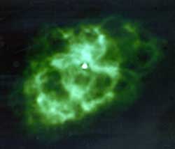 Radio image of the Crab Nebula
