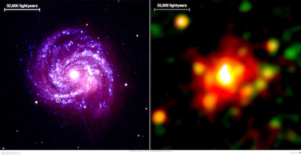 XMM Newton UV and X-ray images of galaxy M100