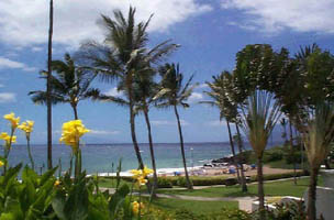 Photo of Maui beach