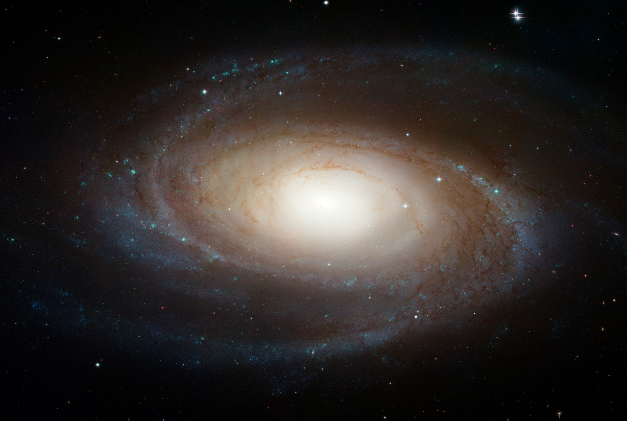 december-10-2019-galaxy-m81.jpg
