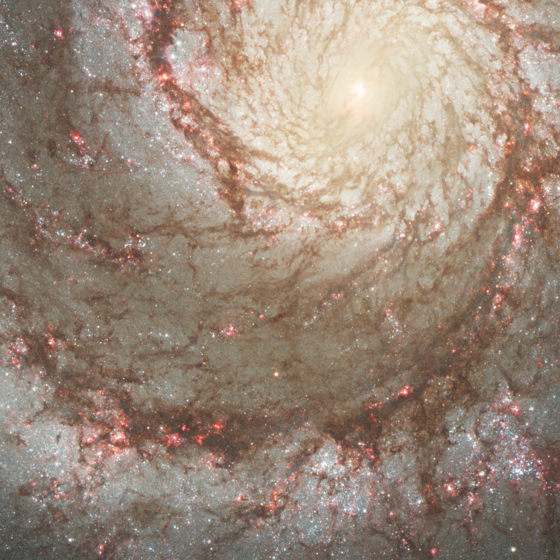 january-19-2019-whirlpool-galaxy.jpg