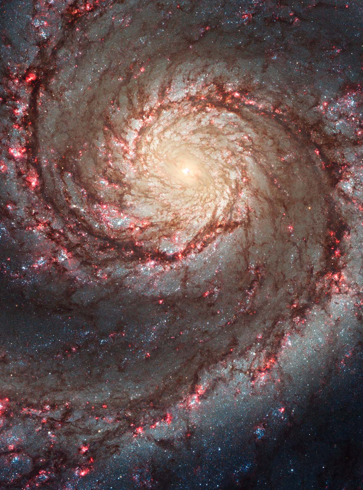 january-22-2019-whirlpool-galaxy.jpg
