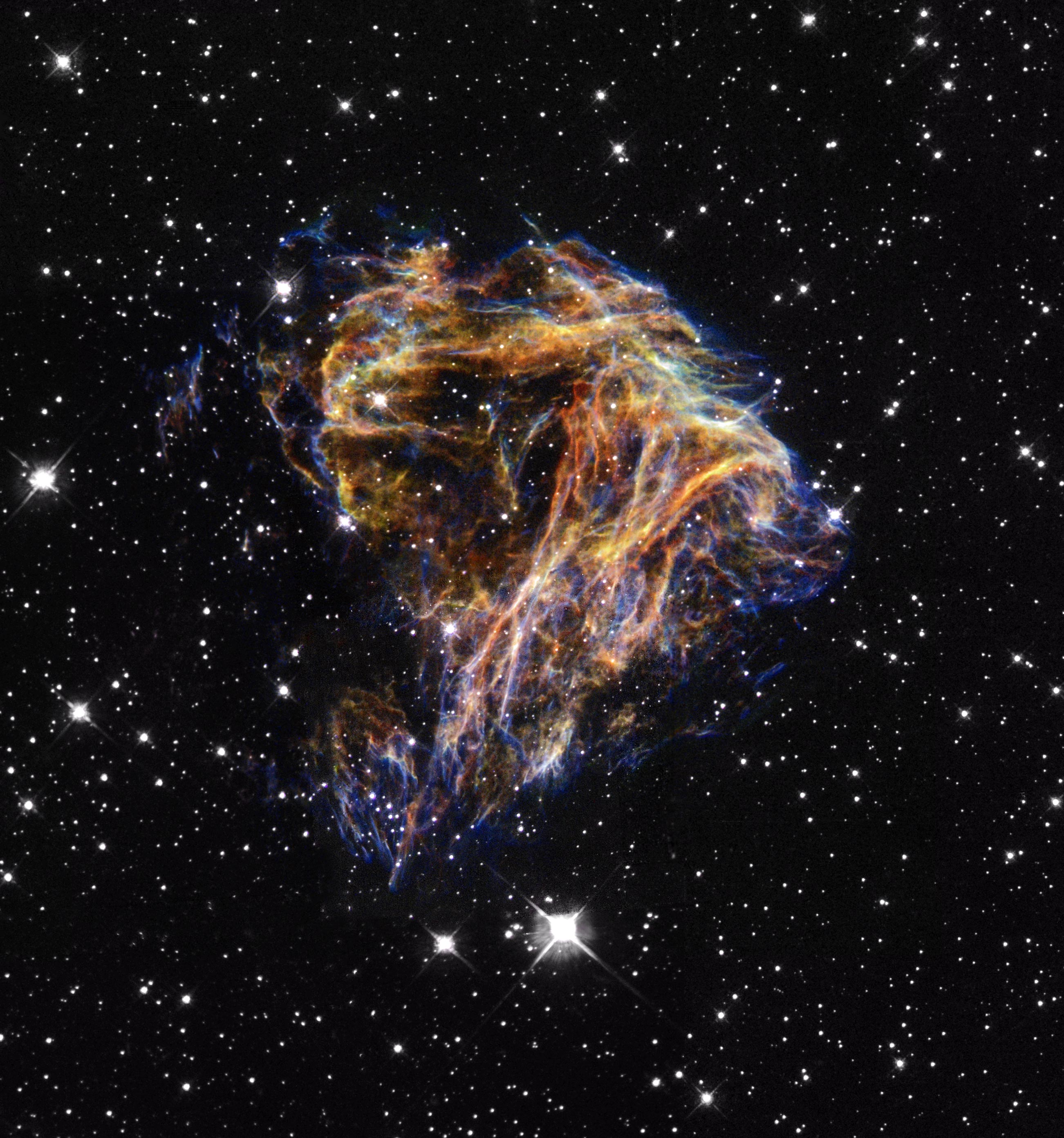 Supernova Remnant N 49