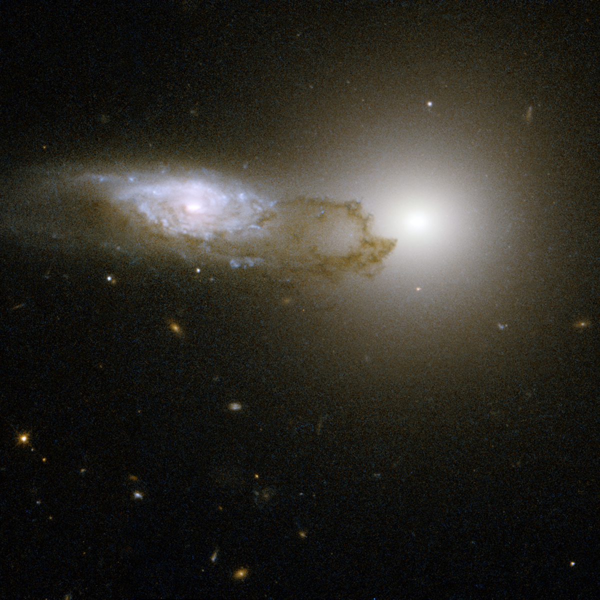 july-18-2019-interacting-galaxies-am-1316-241.jpg