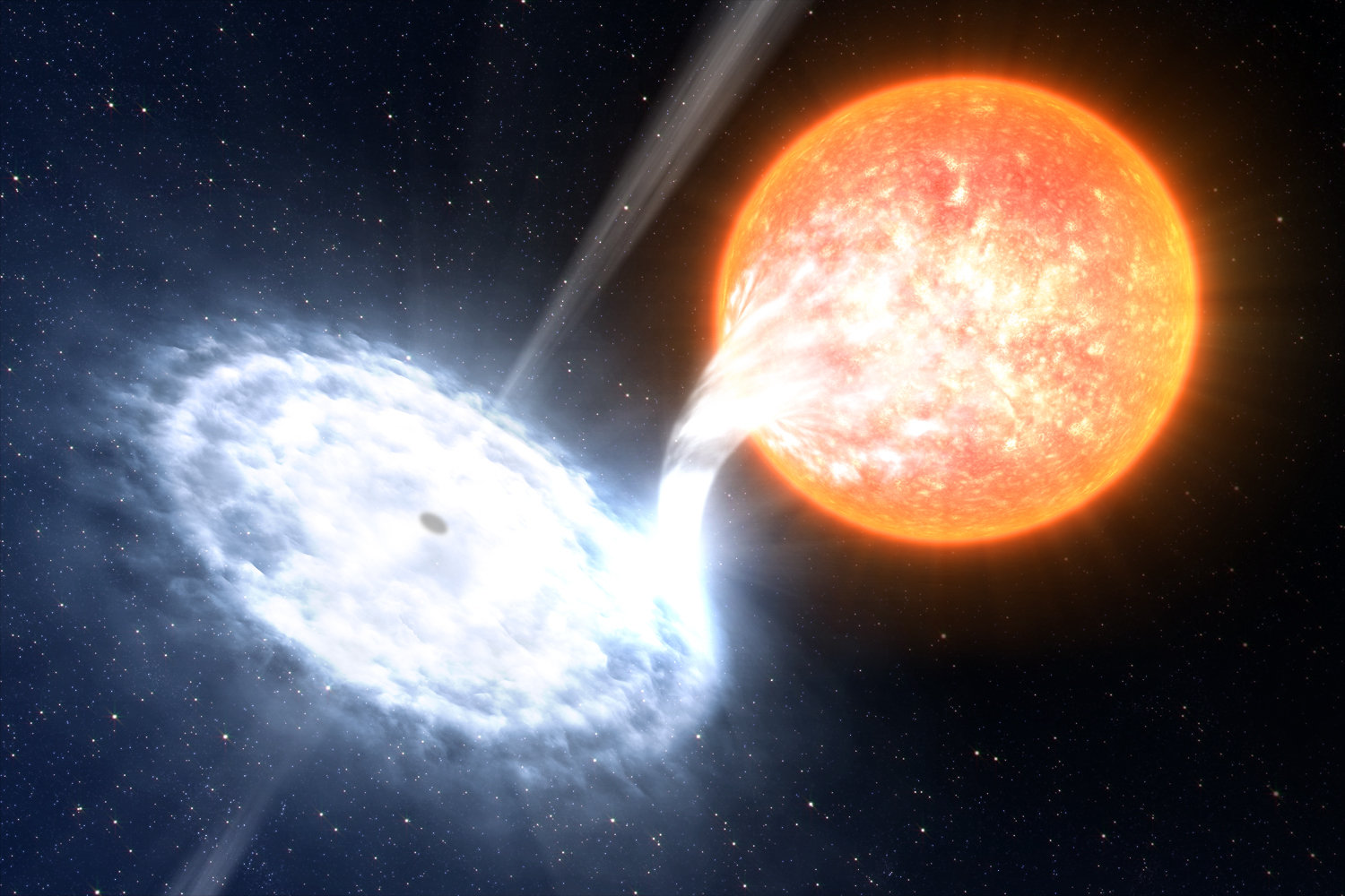 artist's impression of the GX339-4 binary system