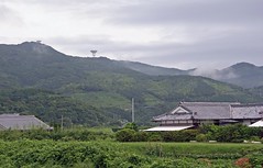 A view from Kimotsuki-cho