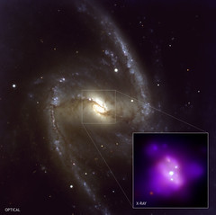 NGC 1365 in Optical and X-ray Light