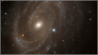 HST image of NGC4603 with supernova