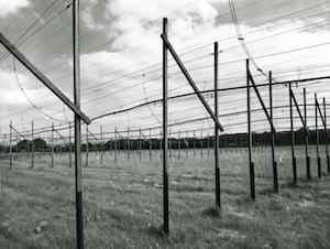 Photo of the Interplanetary Scintillation Array as it was installed in 1967