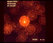 ROSAT image of HZ 43