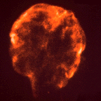 ROSAT image of the Cygnus Loop