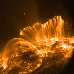 Image of coronal loops from NASA's TRACE satellite